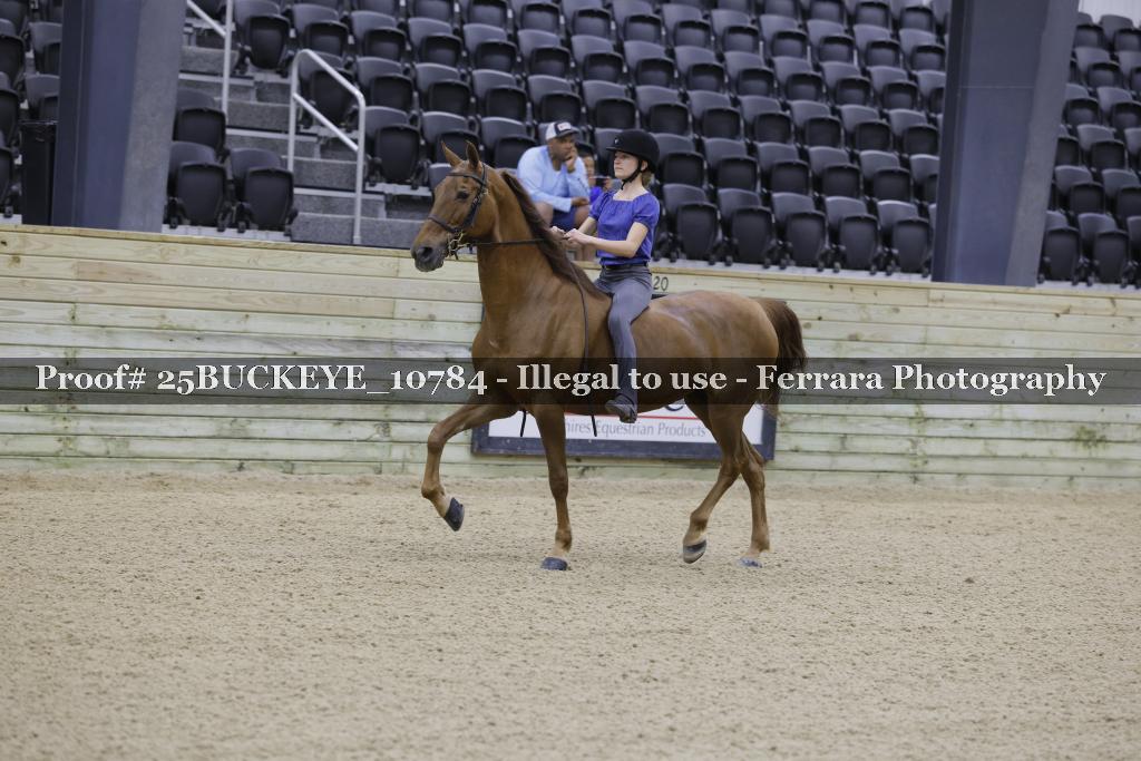 Proof 25BUCKEYE_10784