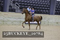 25BUCKEYE_10784 proof