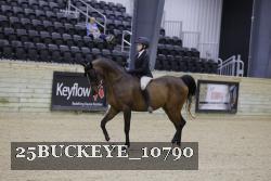 25BUCKEYE_10790 proof