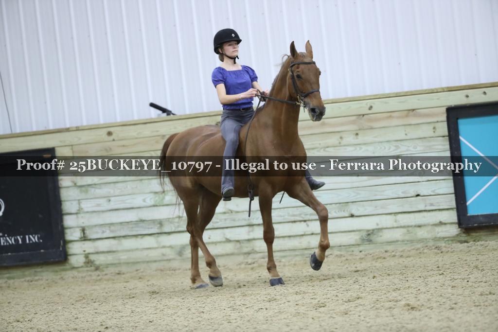 Proof 25BUCKEYE_10797