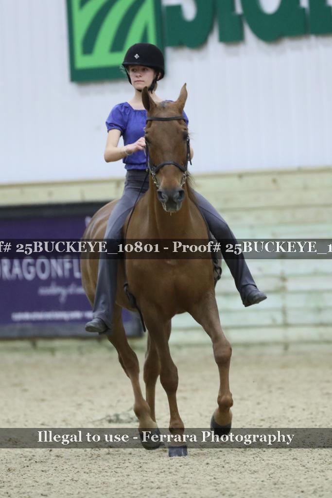 Proof 25BUCKEYE_10801