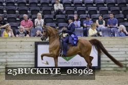 25BUCKEYE_08962 proof