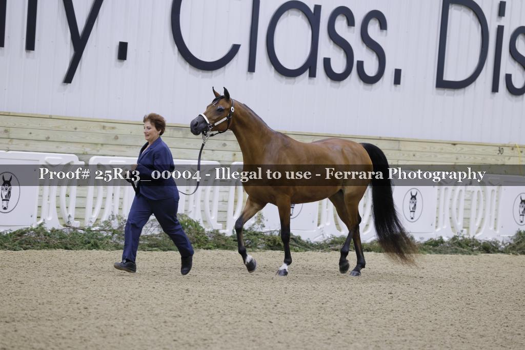 Proof 25R13_00004
