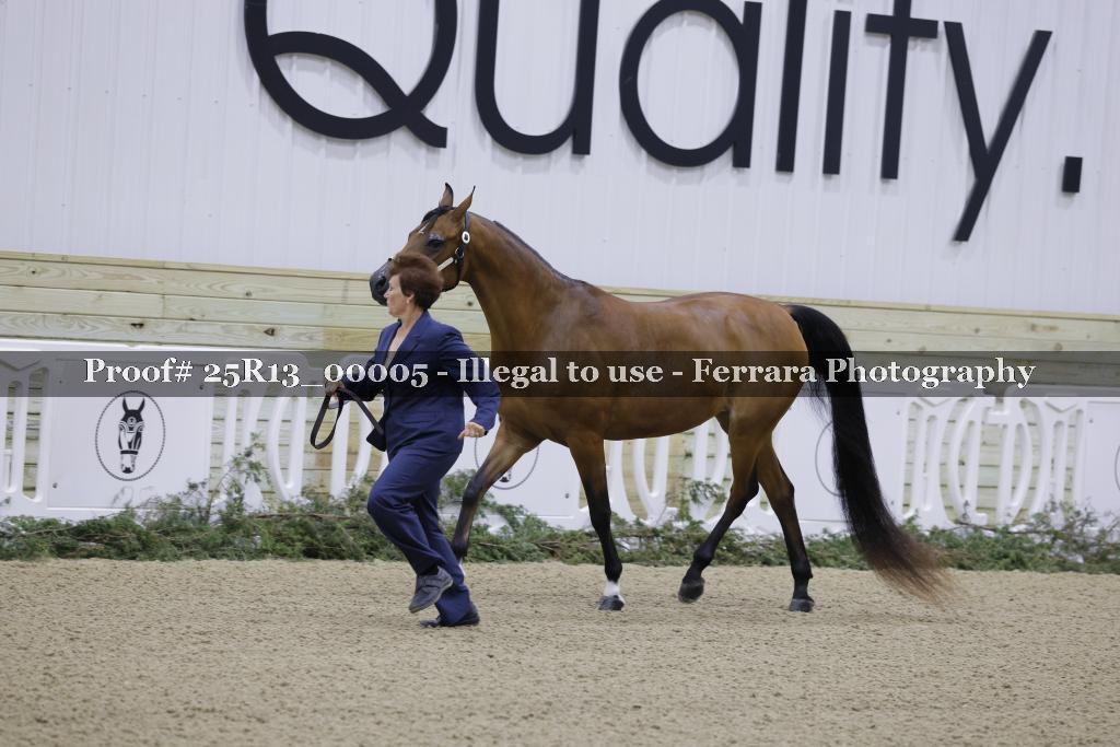 Proof 25R13_00005