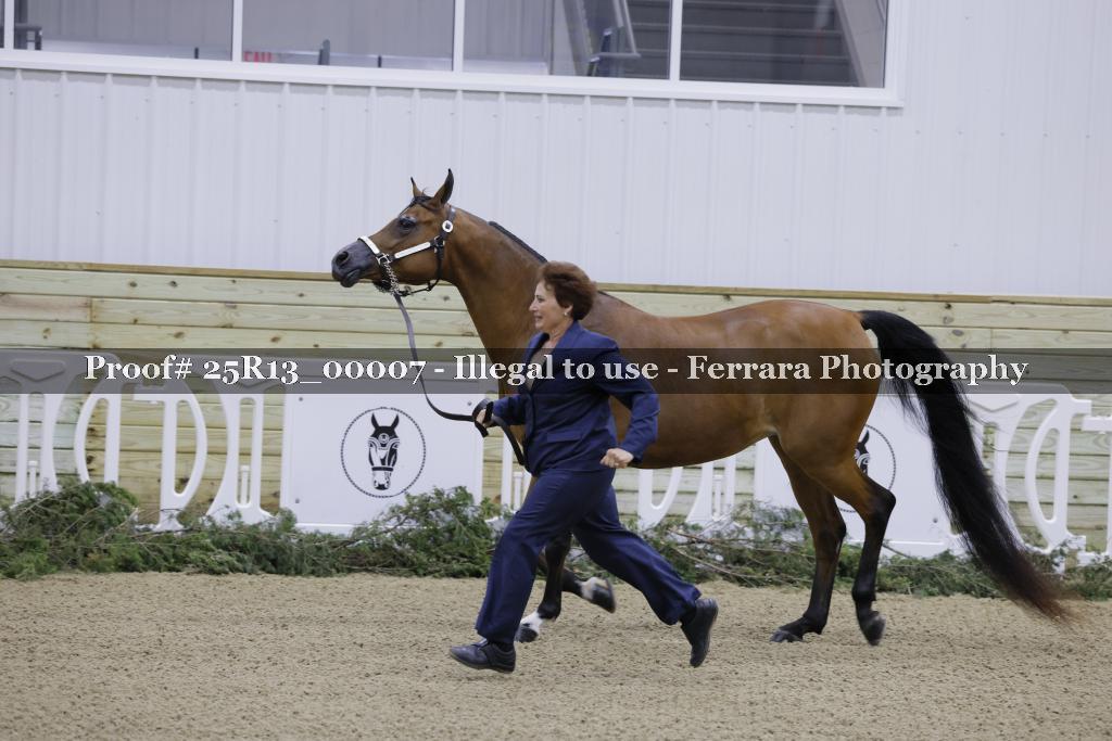 Proof 25R13_00007