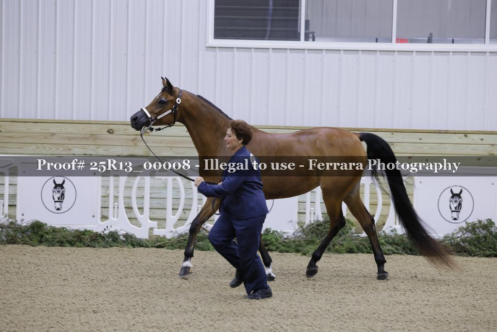 Proof 25R13_00008