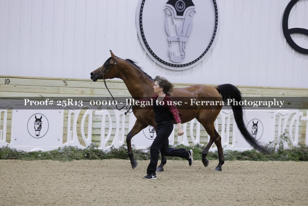 Proof 25R13_00010