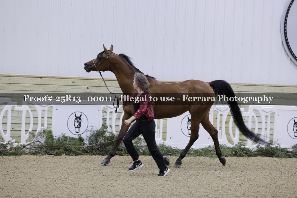 Proof 25R13_00011