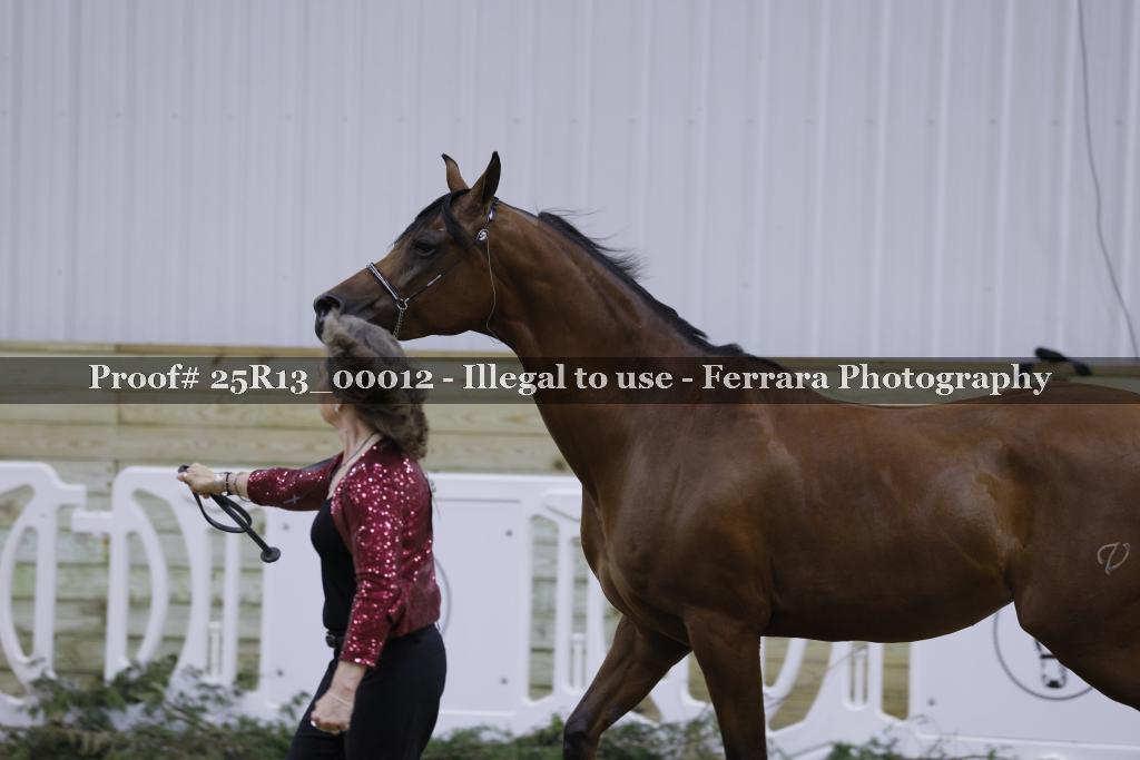 Proof 25R13_00012