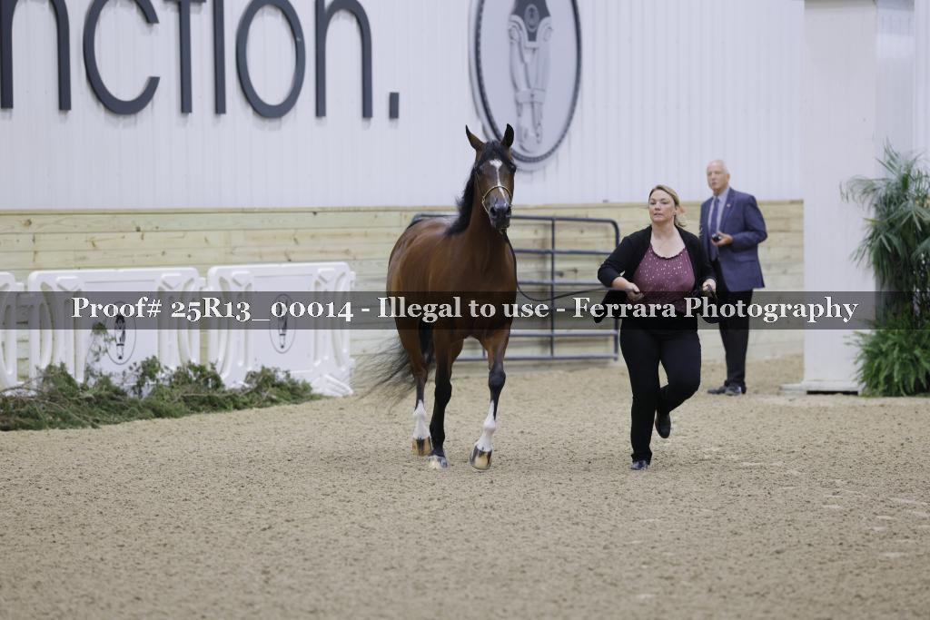 Proof 25R13_00014
