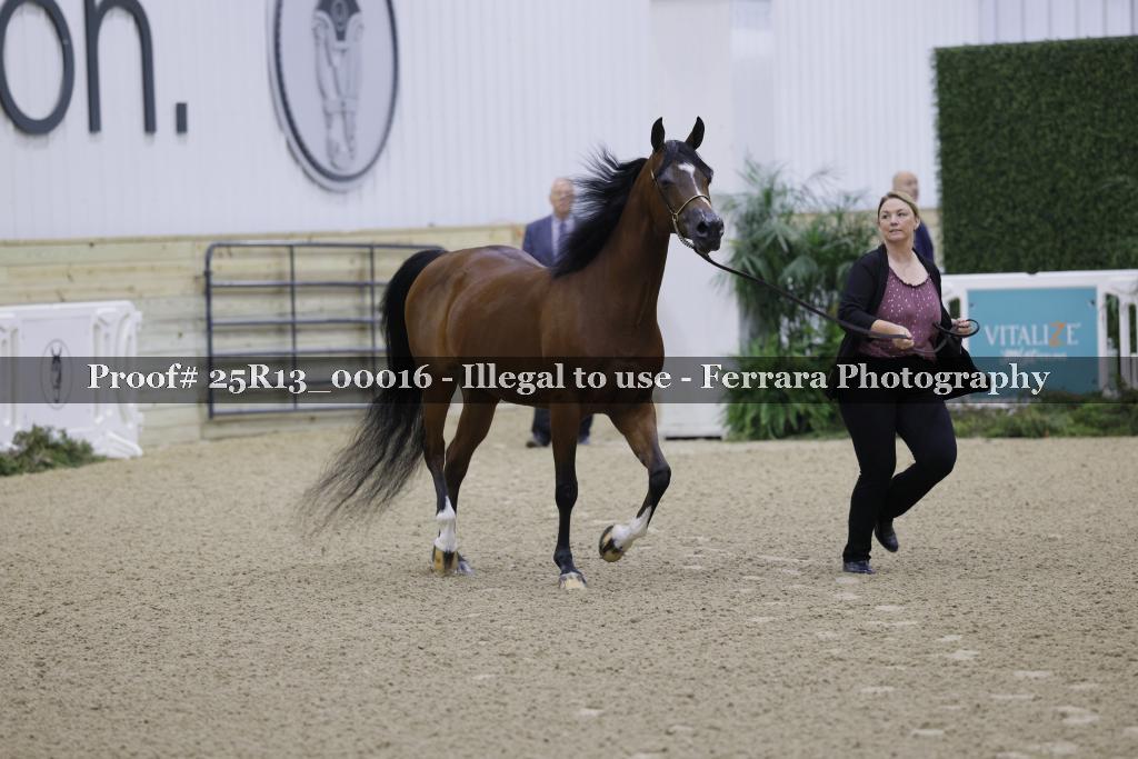 Proof 25R13_00016