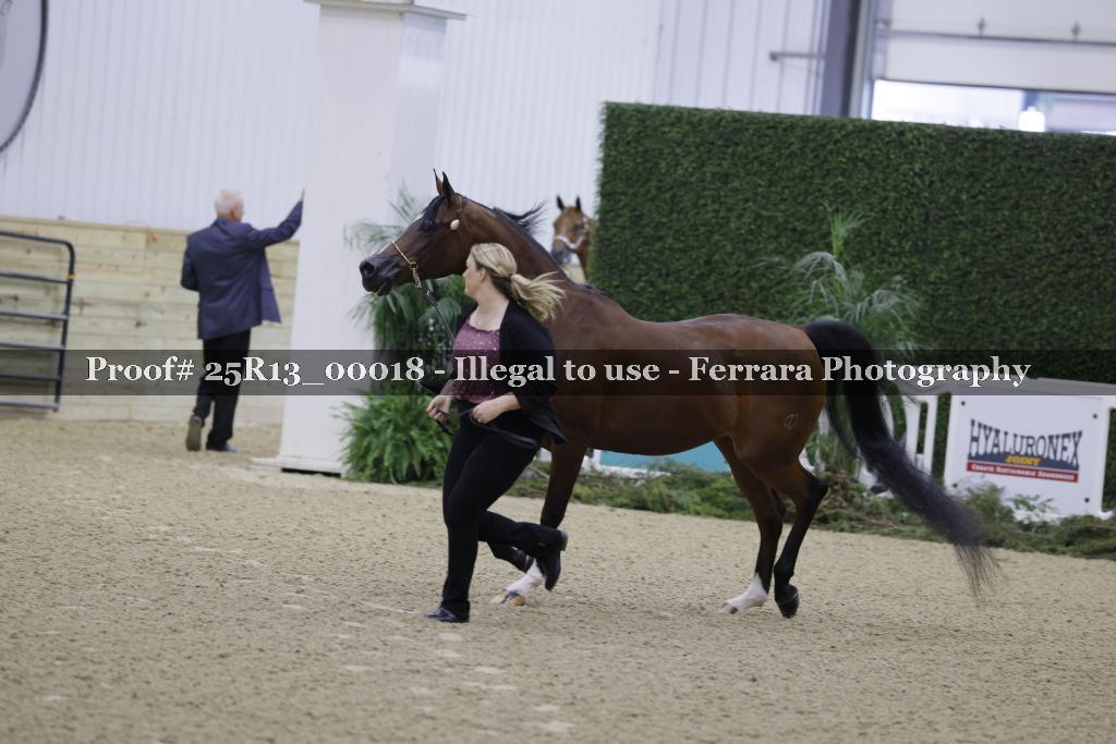 Proof 25R13_00018