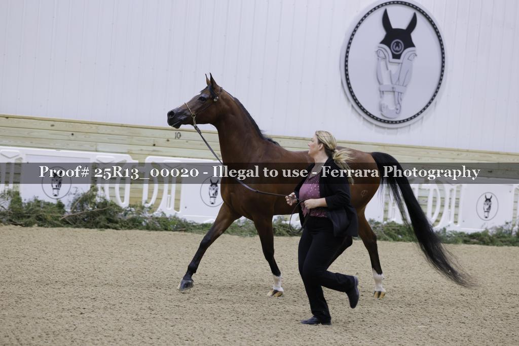 Proof 25R13_00020