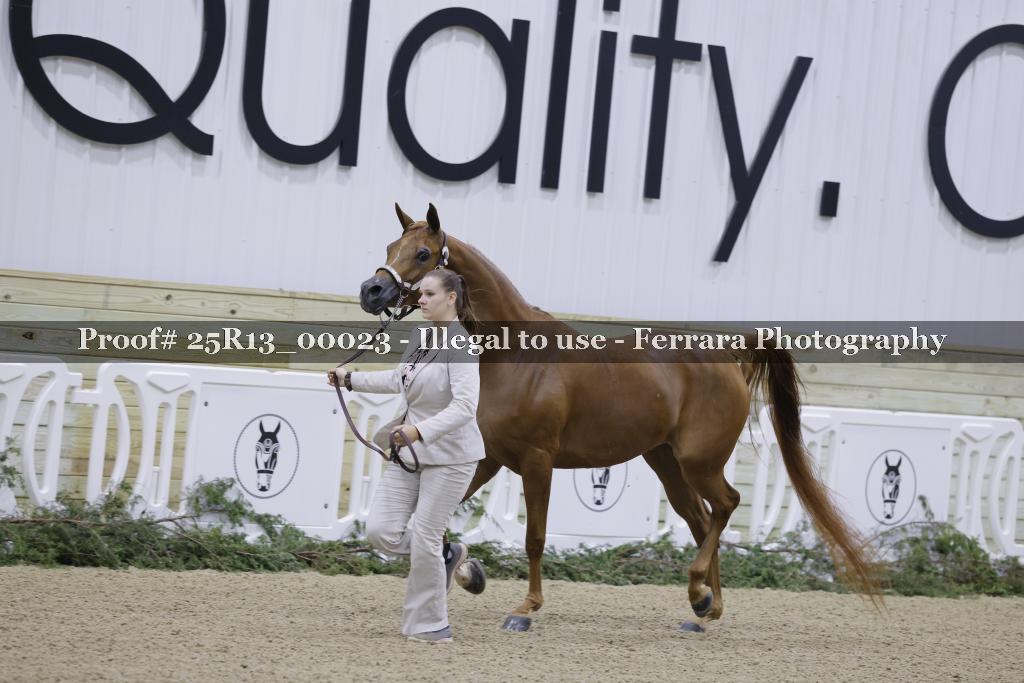 Proof 25R13_00023