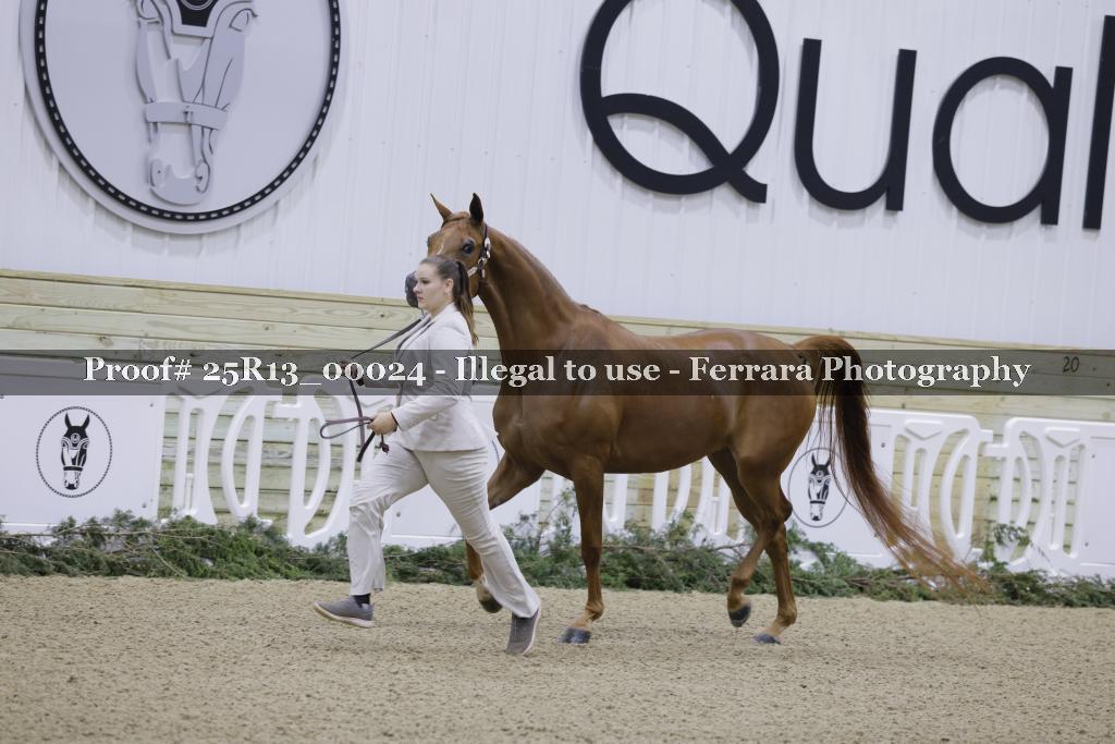 Proof 25R13_00024