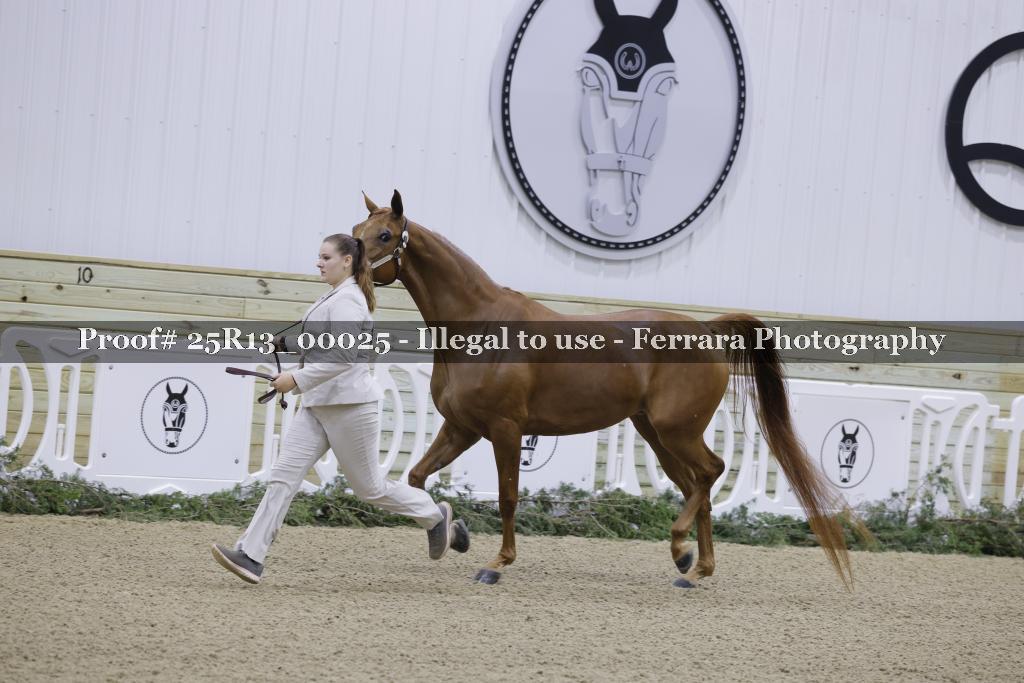 Proof 25R13_00025