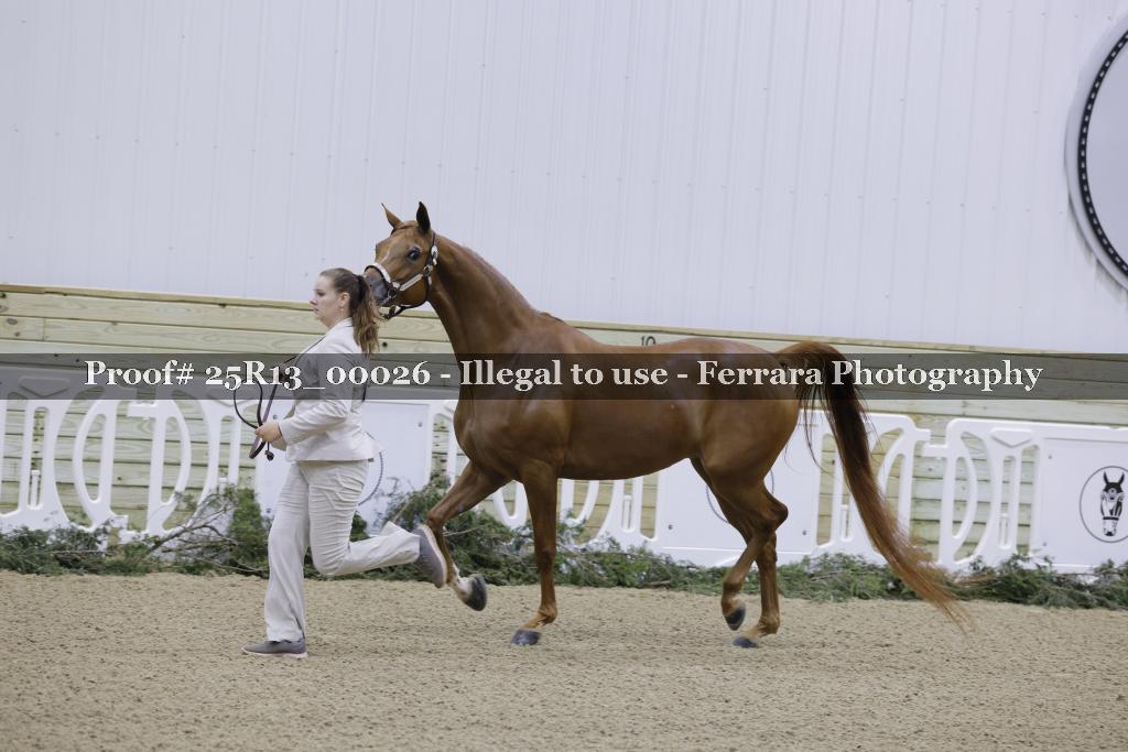 Proof 25R13_00026