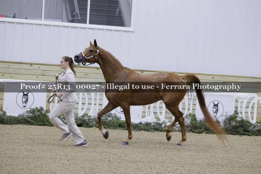 Proof 25R13_00027