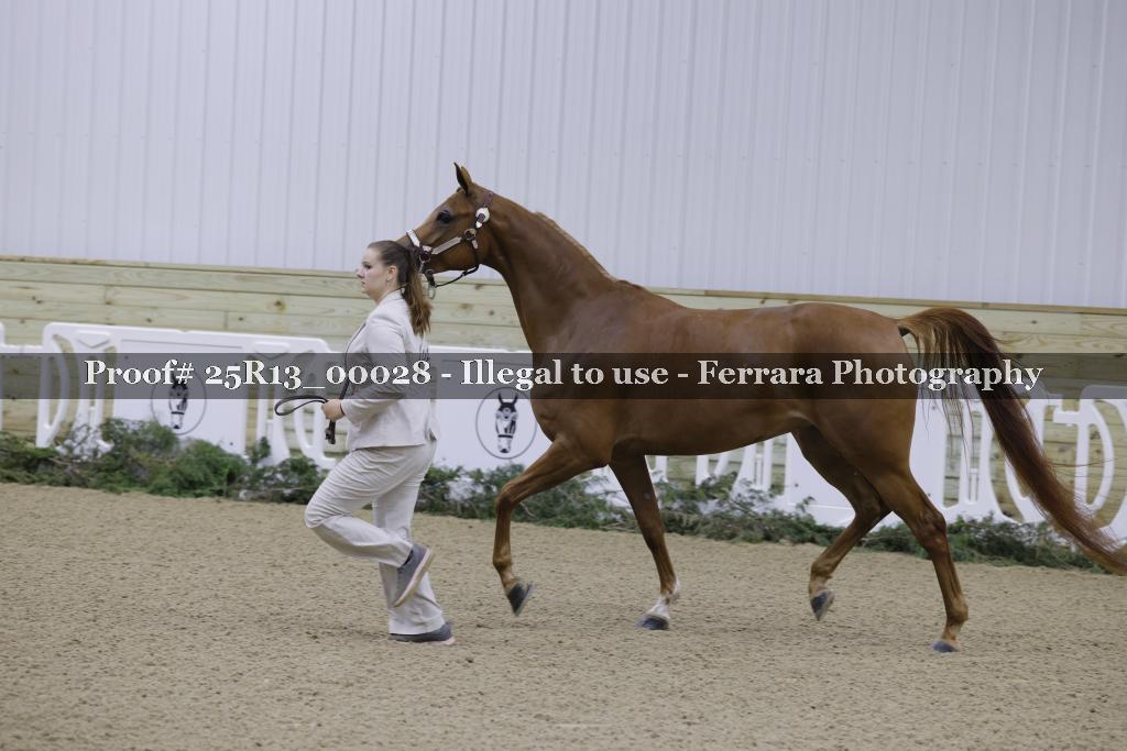 Proof 25R13_00028