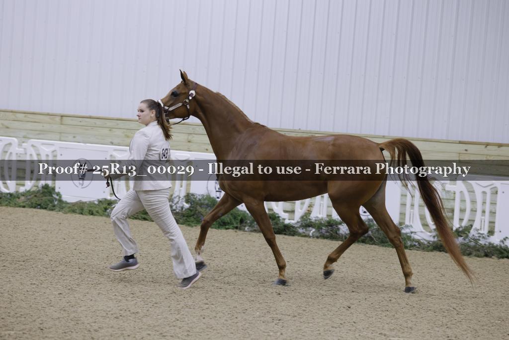 Proof 25R13_00029