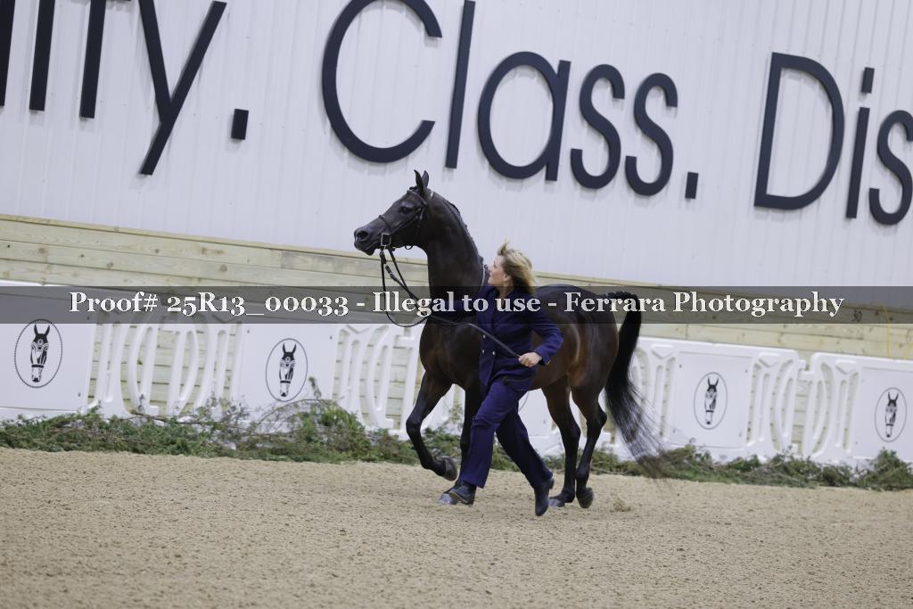 Proof 25R13_00033
