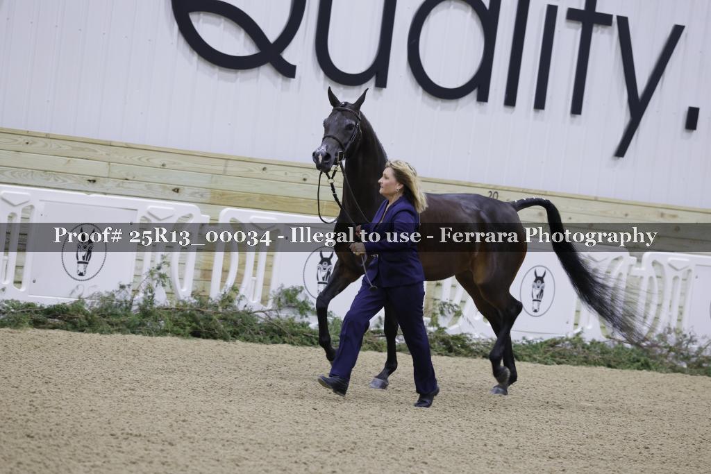 Proof 25R13_00034