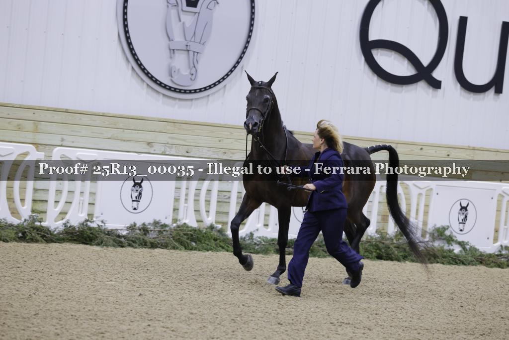 Proof 25R13_00035