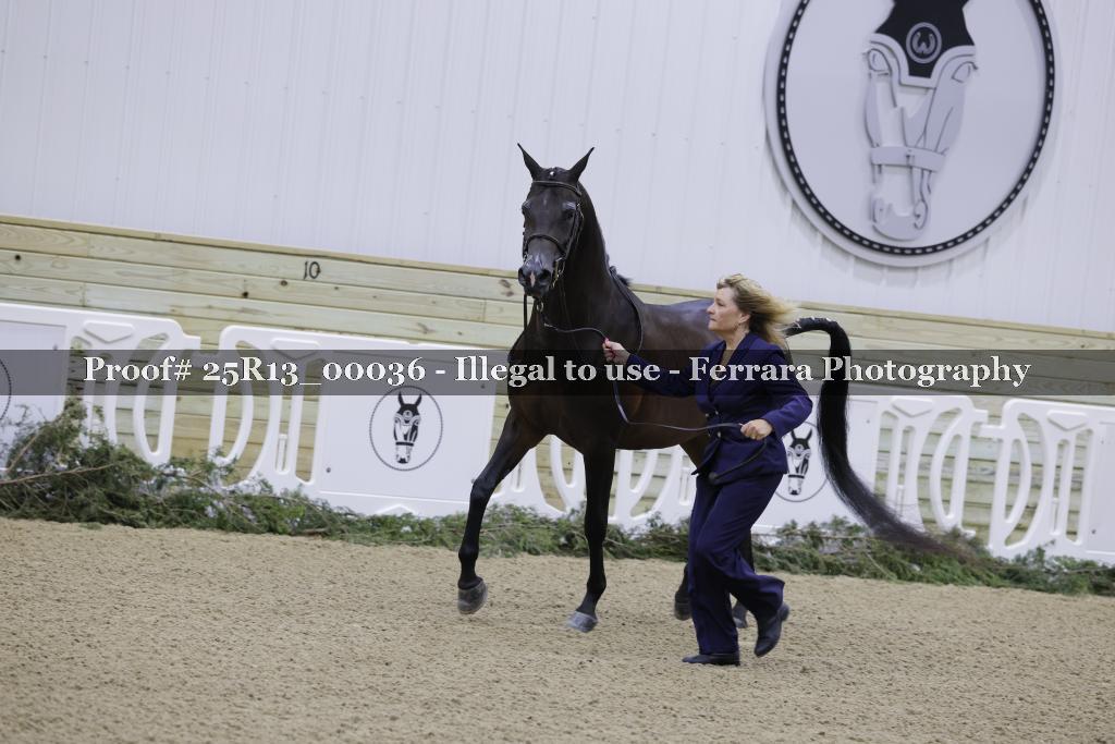 Proof 25R13_00036