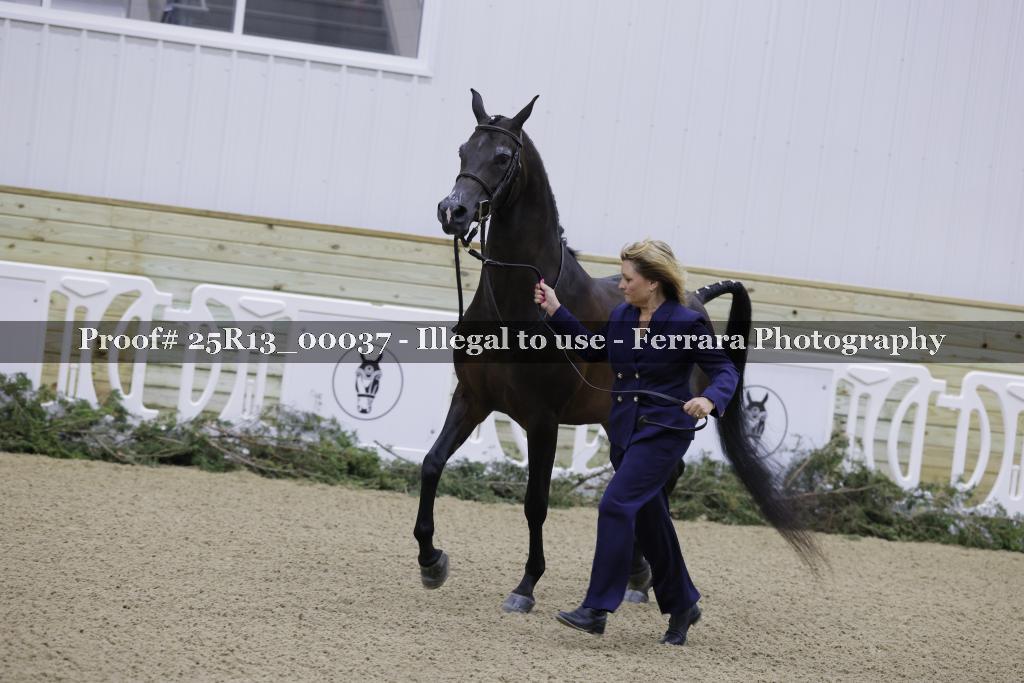 Proof 25R13_00037