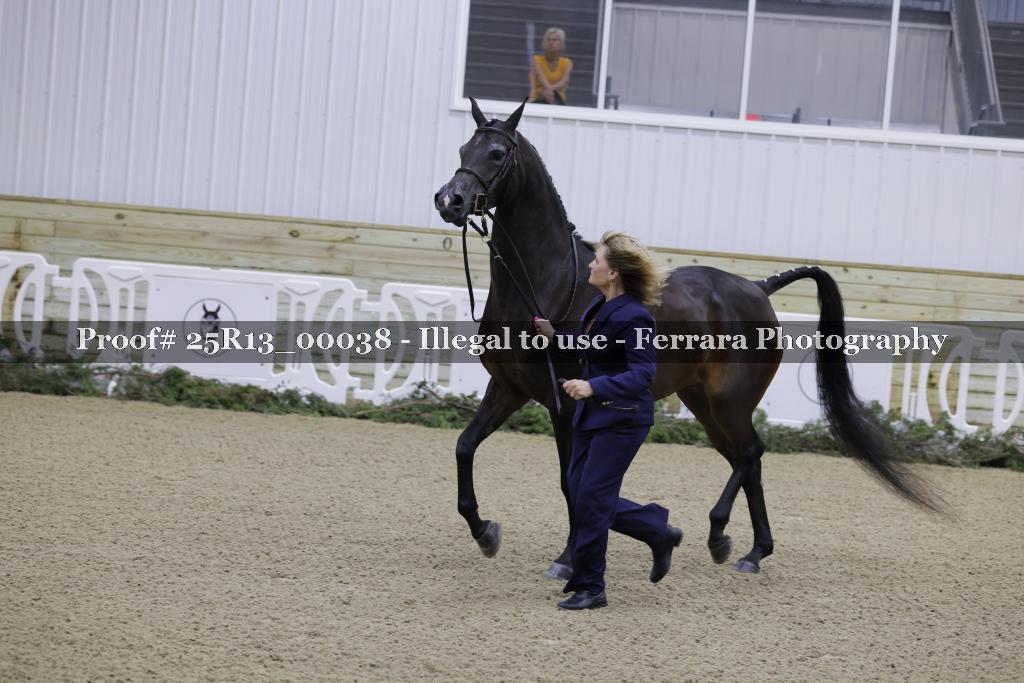 Proof 25R13_00038