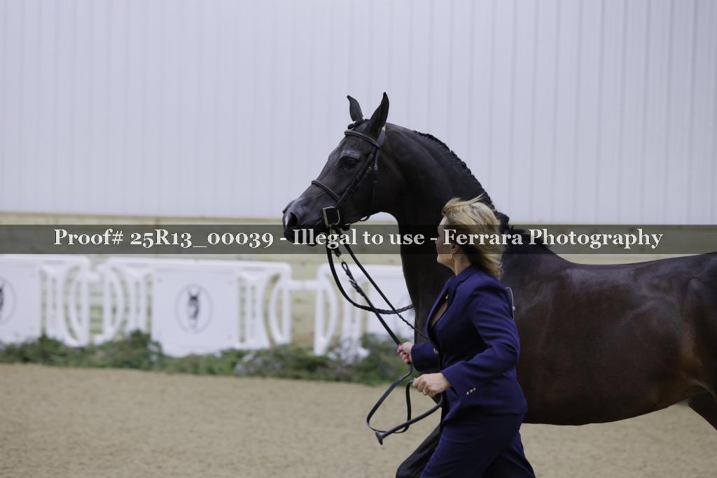 Proof 25R13_00039