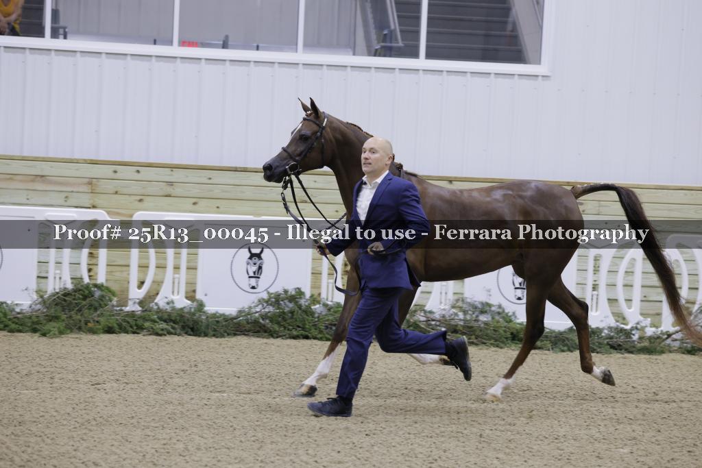 Proof 25R13_00045