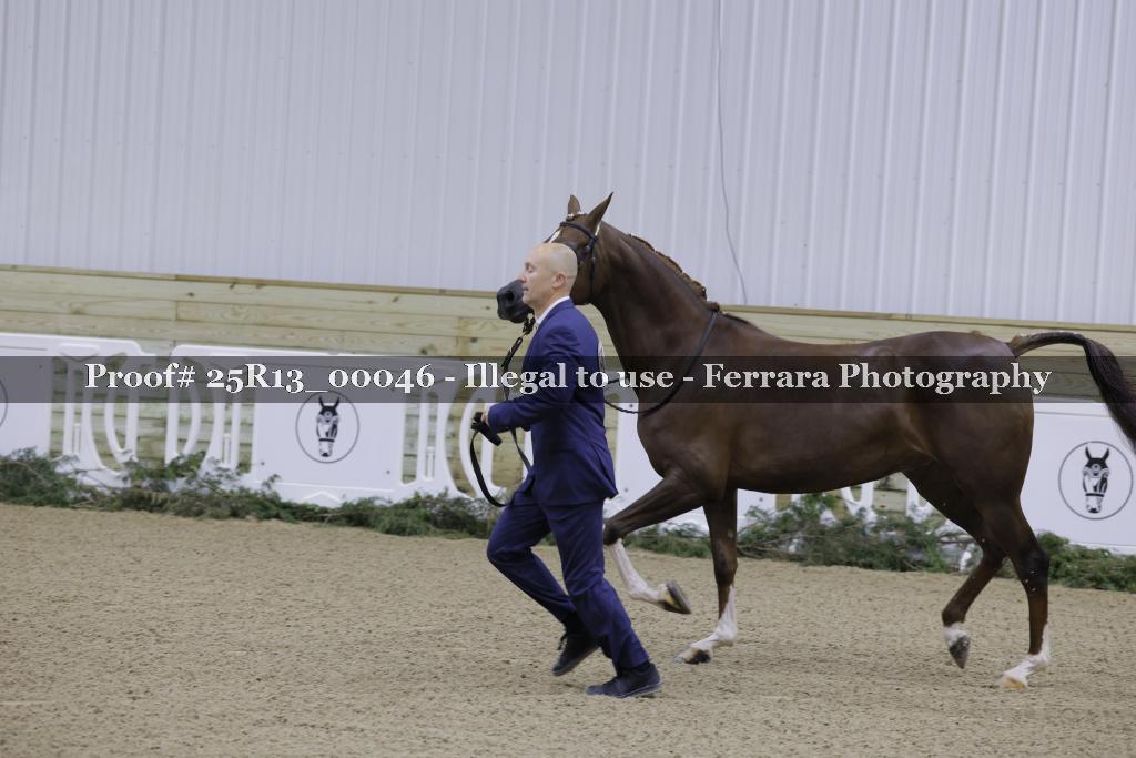 Proof 25R13_00046