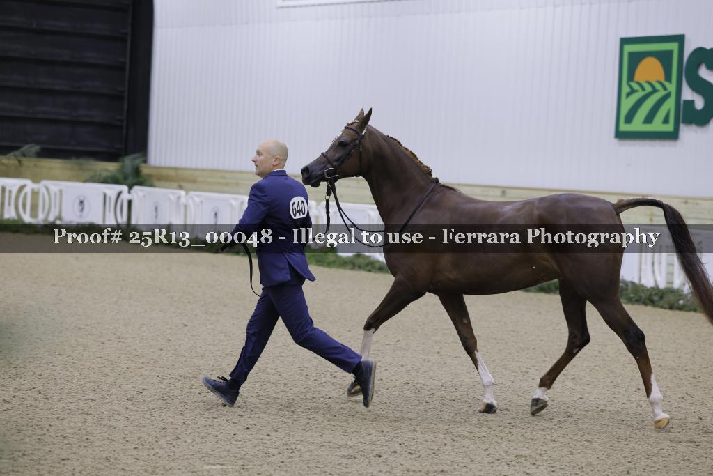 Proof 25R13_00048