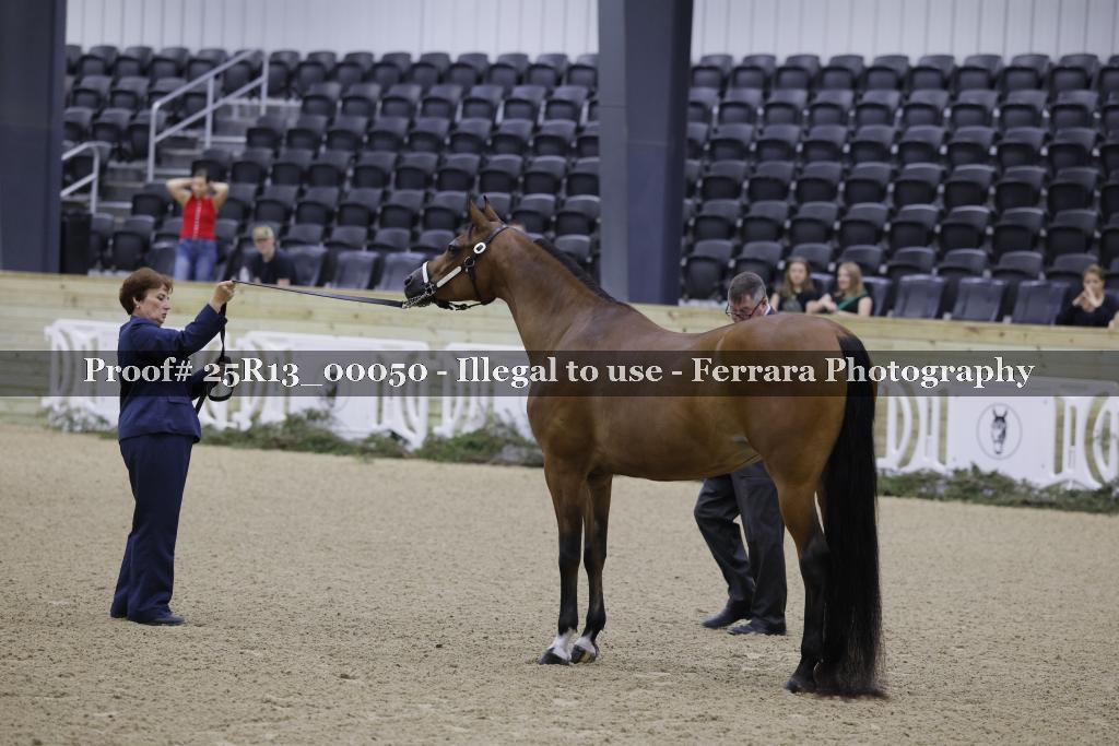 Proof 25R13_00050