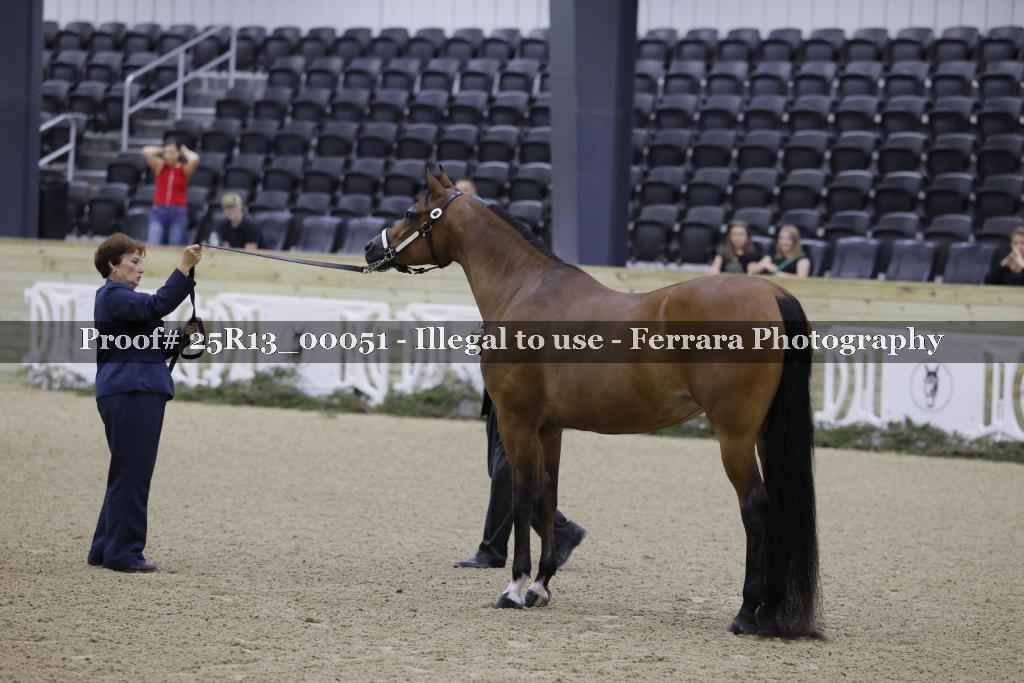 Proof 25R13_00051