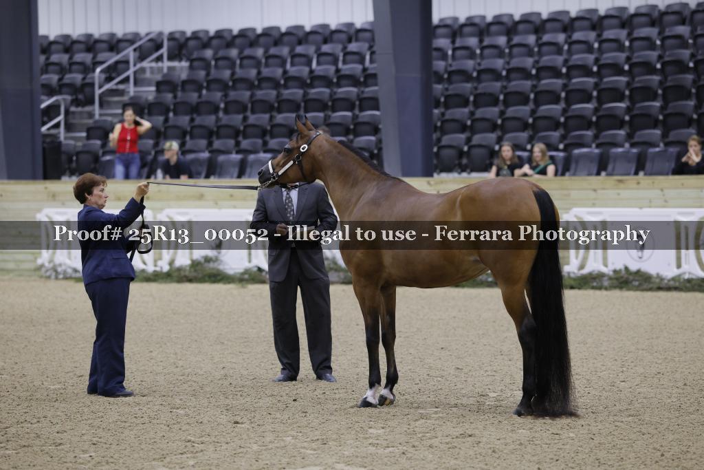 Proof 25R13_00052