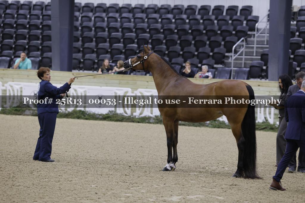 Proof 25R13_00053