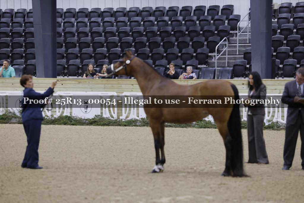 Proof 25R13_00054