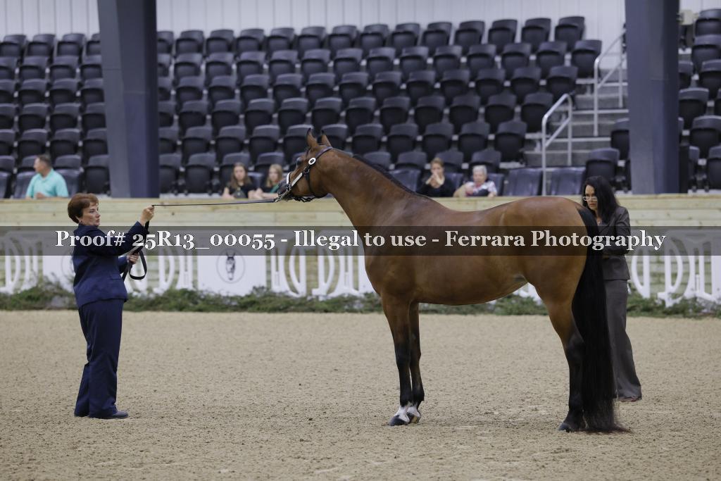 Proof 25R13_00055