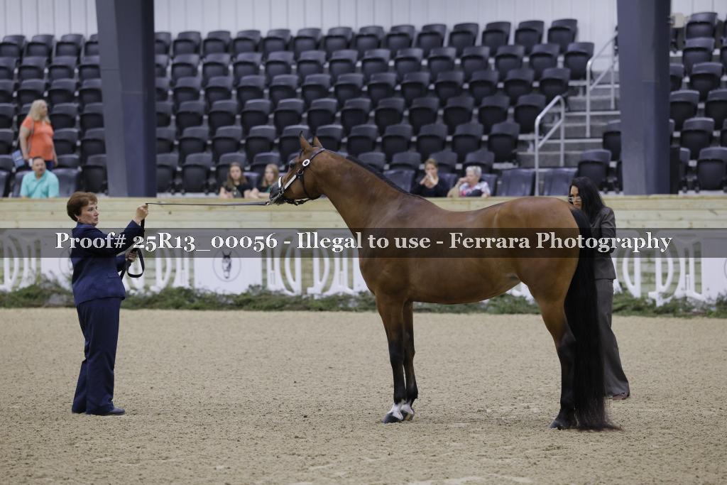 Proof 25R13_00056