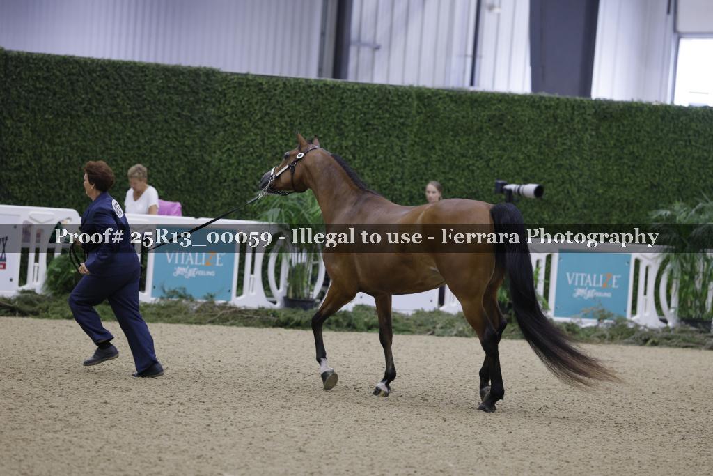 Proof 25R13_00059