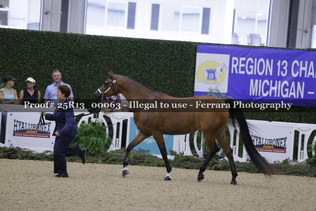 Proof 25R13_00063