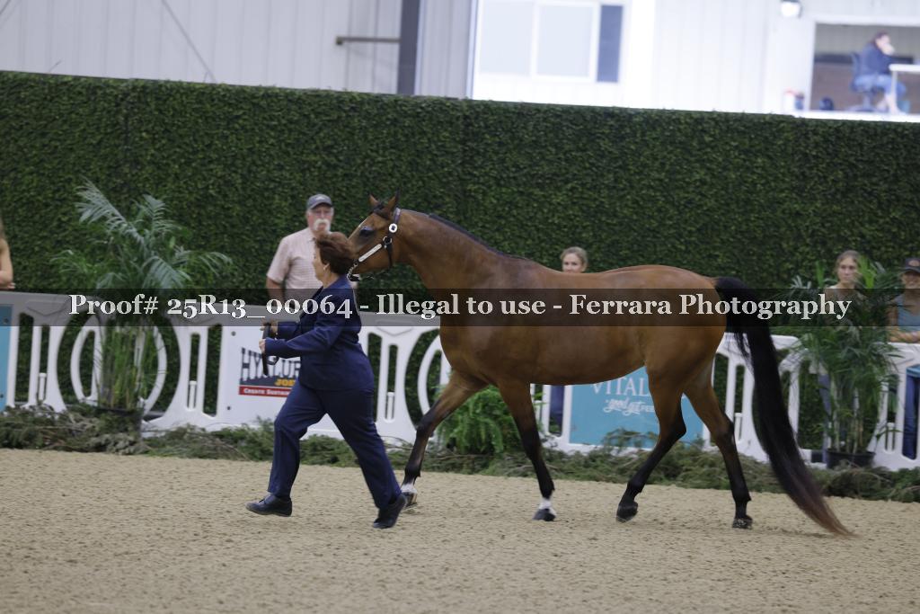 Proof 25R13_00064