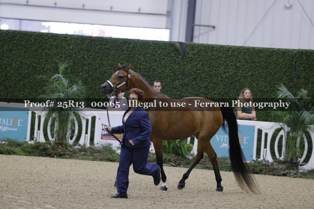 Proof 25R13_00065