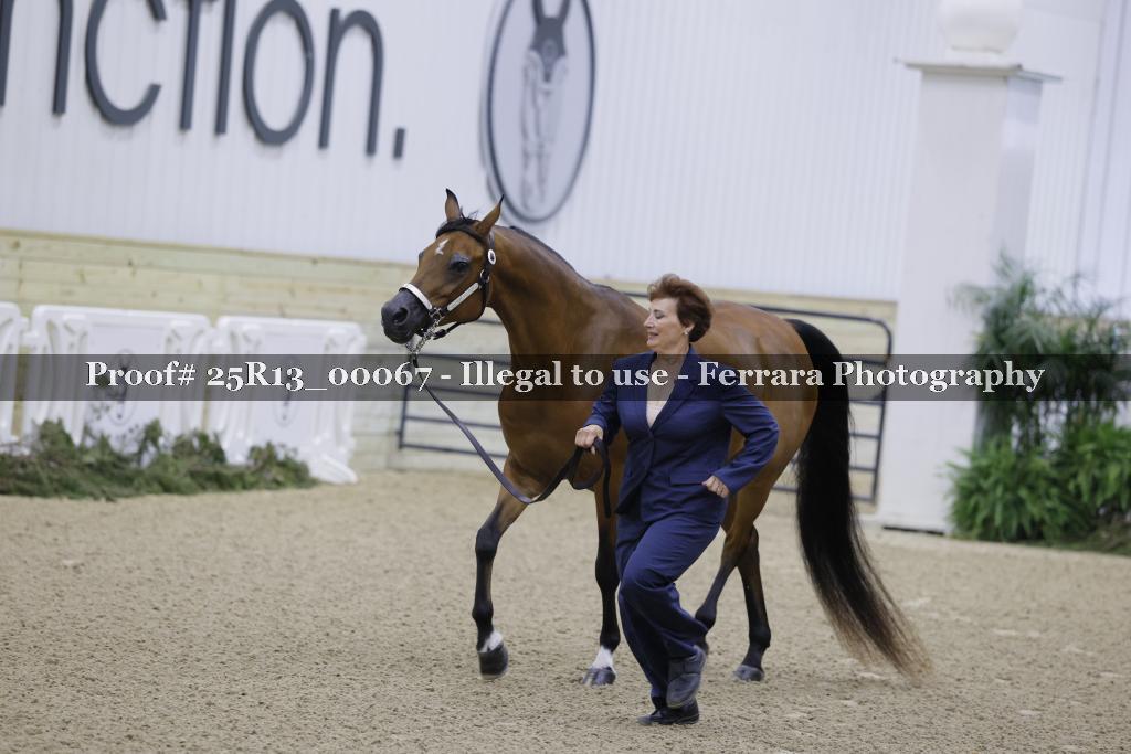 Proof 25R13_00067
