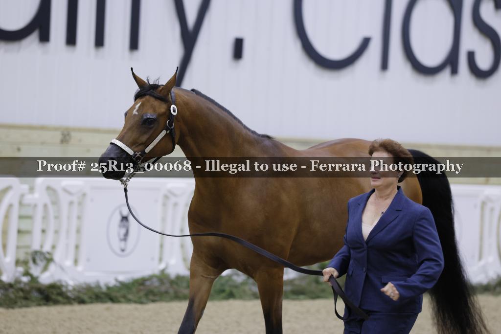 Proof 25R13_00068
