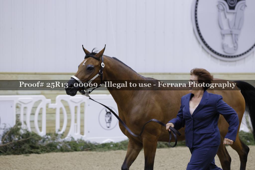 Proof 25R13_00069