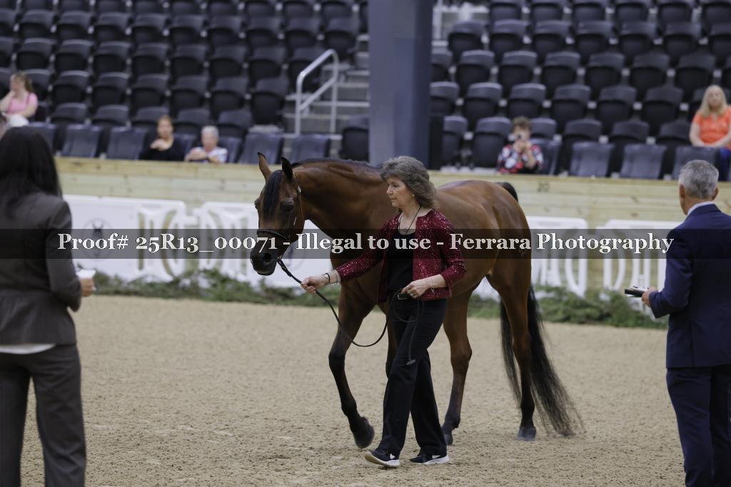Proof 25R13_00071