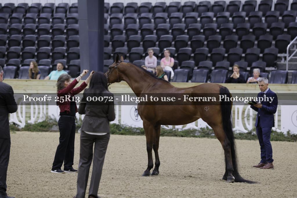 Proof 25R13_00072